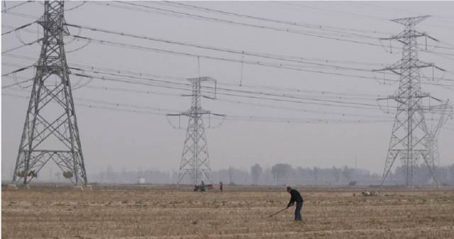 貿易戰重創美國農業！川普推120億美元紓困　農民嘆：僅解決燃眉之急